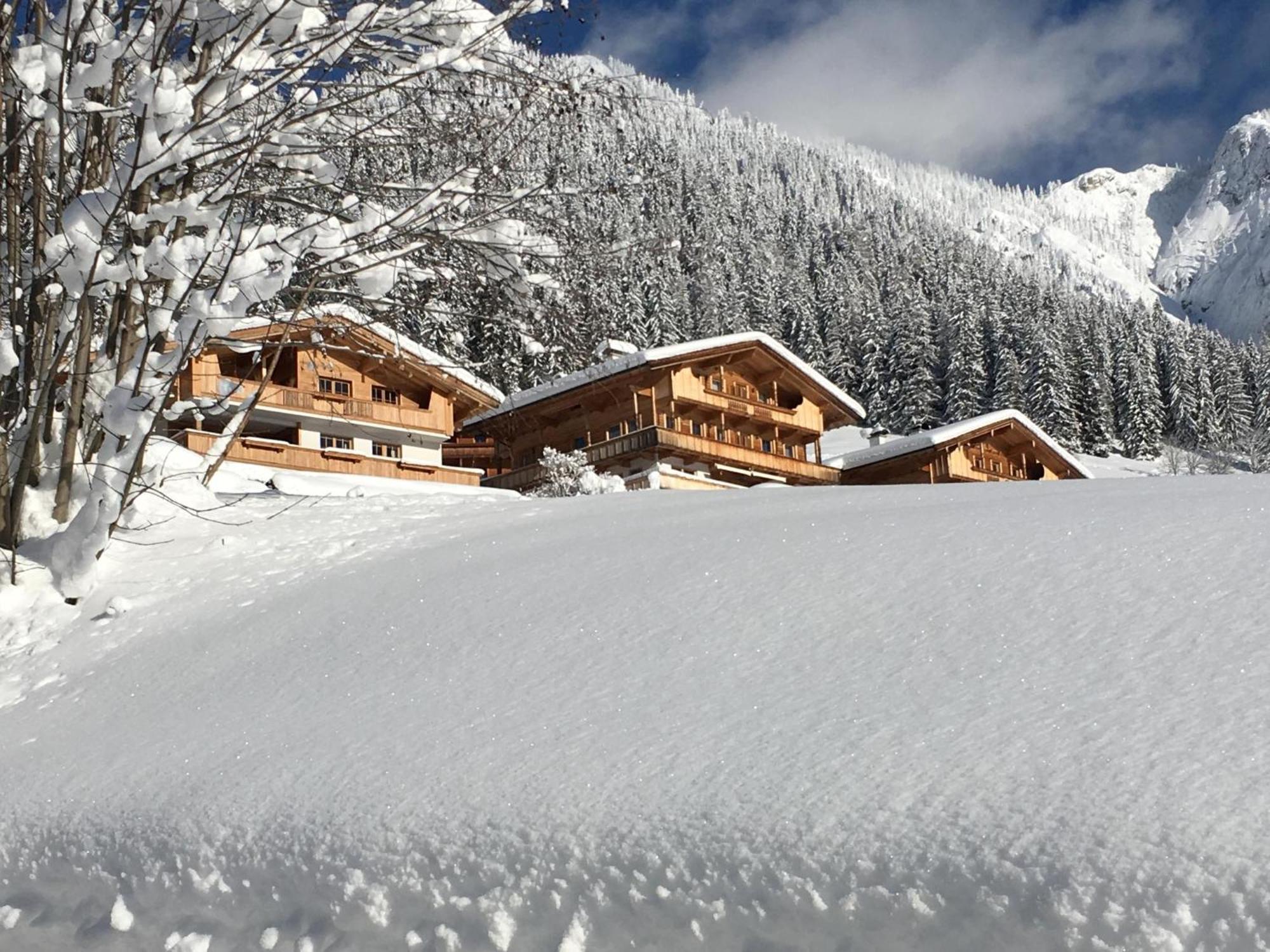 Haus Fernwald Top Nynke Alpbach Exterior photo